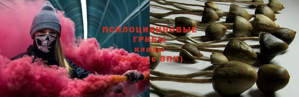 гашик Алзамай