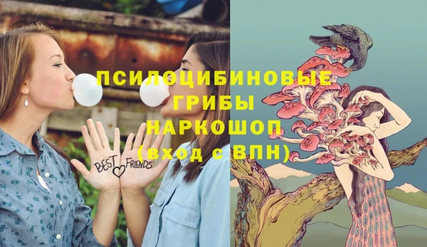 гашик Алзамай