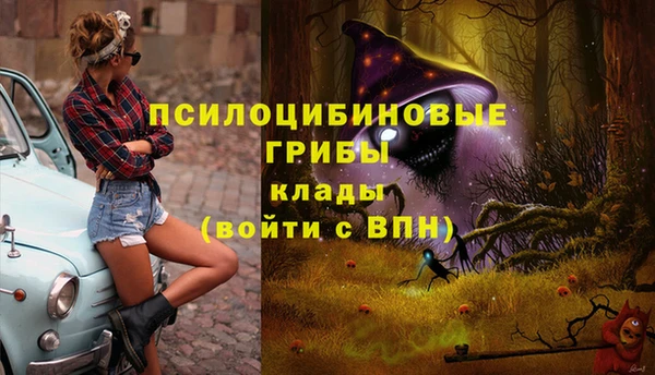 гидропоника Алексеевка