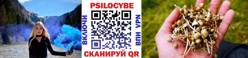 Галлюциногенные грибы Cubensis  Сухой Лог 